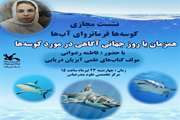 برگزاری نشست مجازی علمی«کوسه‌ها؛فرمانروای آب‌ها»