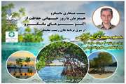 برگزاری نشست مجازی مانگرو (جنگل‌های حرا) 