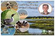 برگزاری نشست مجازی روز جهانی پرندگان مهاجر 