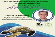 سند کره زمین به نام لاک‌پشت‌های دریایی زده شد