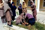 کاشت نهال توسط اعضای کانون هرمزگان به مناسبت روز درختکاری