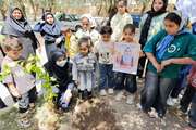 کاشت نهال در حاجی‌آباد؛ نمادی از رشد، ایثار و پاسداشت روز دختر